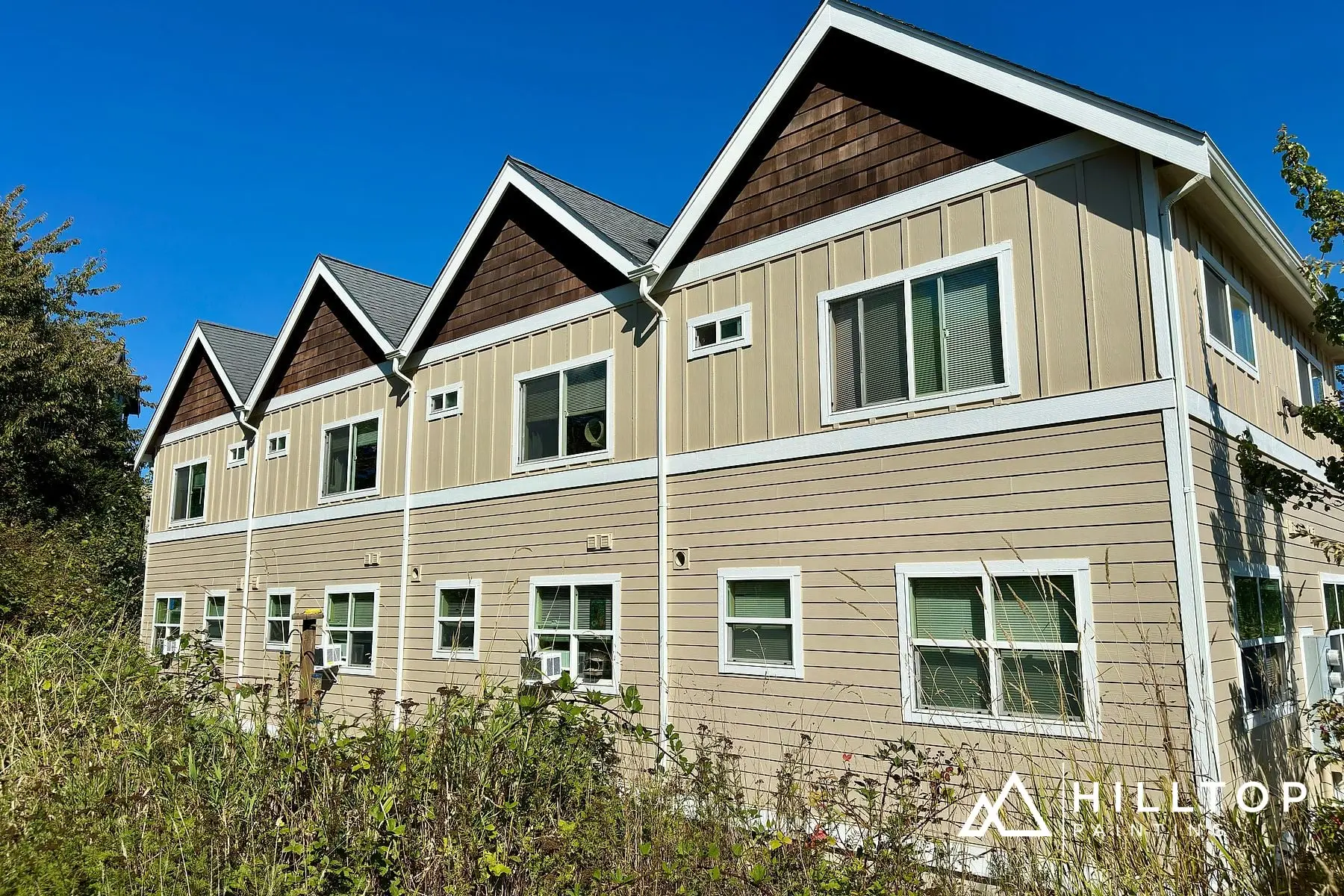 Four Townhomes, One Clean Scheme — a Ferndale Multi-Family Repaint — photo 3