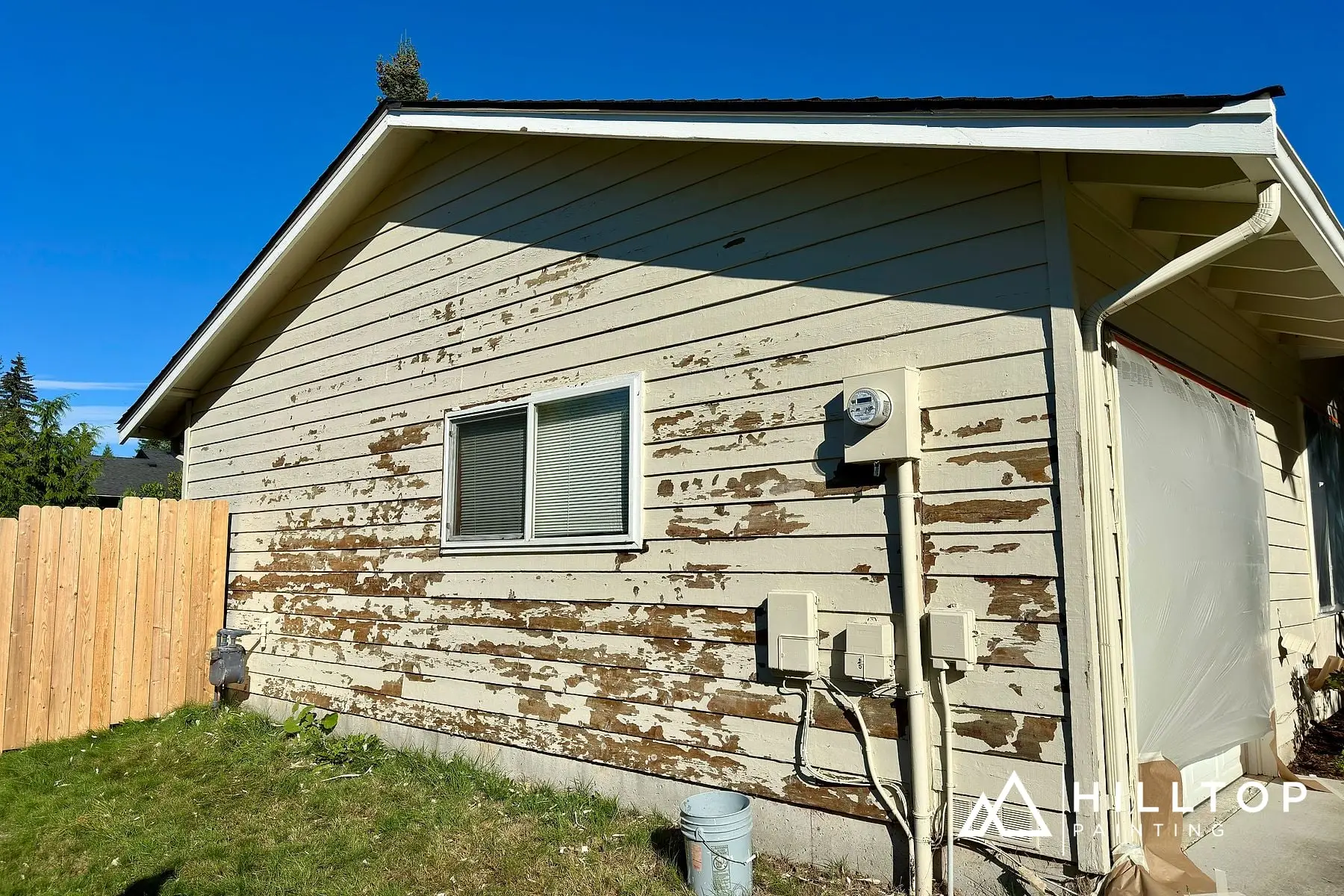 Before: From Peeling to Iron Ore SW 7069 — a Bellingham Rescue Job