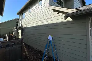 Lead Paint Removal project photo
